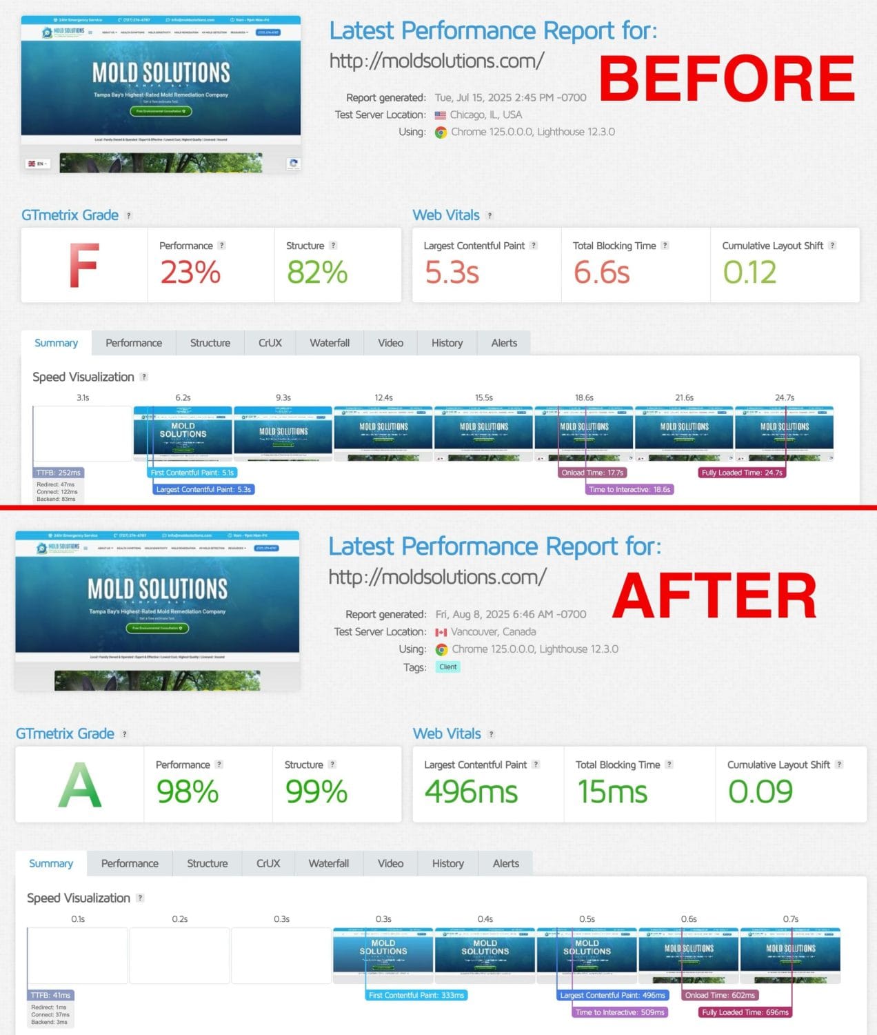 Mold Solutions Before and After